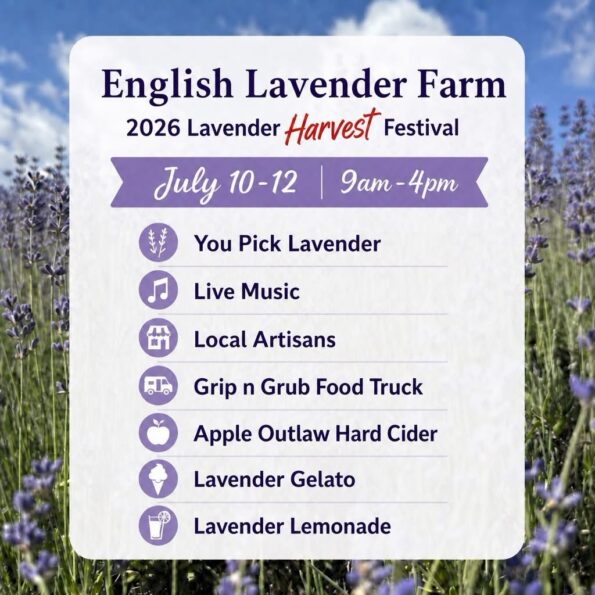 [7/10/2026 – 7/12-2026] 2026 Lavender Harvest Festival @ English Lavender Farm